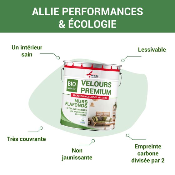 Peinture mate mur et plafond : Arcadéco Biosourcée