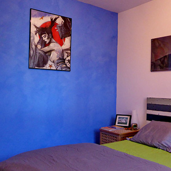 peinture naturelle - MINERALIS