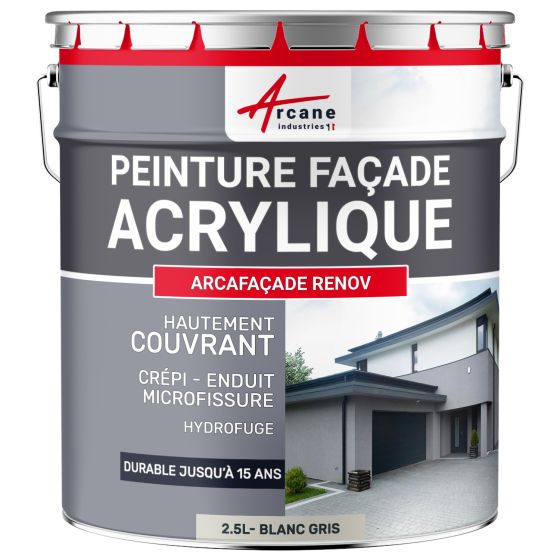Peinture Façade Acrylique pour Crépi - ARCAFAÇADE RENOV-Aspect / Couleur