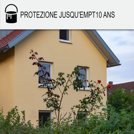 Pittura Facciata Acrilica per Crepi - ARCAFAÇADE RENOV