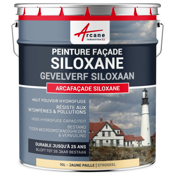Siloxaanverf - ARCAFAÇADE SILOXAAN - 10 L (+ of - 60 m² in 1 laag)