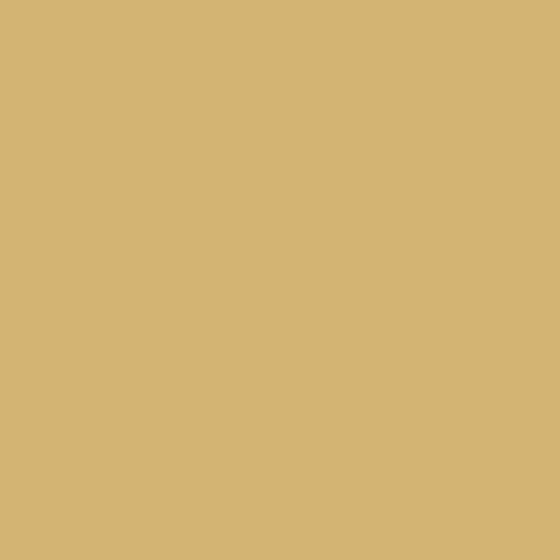 PEINTURE BITUME ARCASPHALT - Echantillon Couleur 