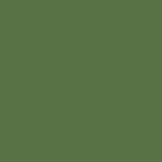 PEINTURE SOL CARRELAGE - Echantillon Couleur