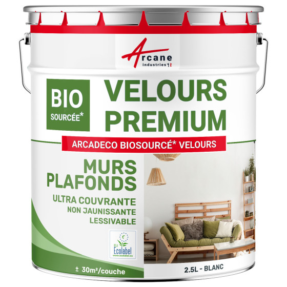 Peinture velours mur et plafond : ARCADÉCO BIOSOURCÉ Blanc - 2.5 L (+ ou - 30m² par couche)