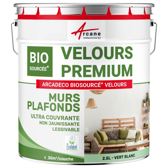 Peinture velours mur et plafond : ARCADÉCO BIOSOURCÉ Vert Blanc - RAL 6019 - 2.5 L (+ ou - 30m² par couche) Peinture velours mur et plafond : ARCADÉCO BIOSOURCÉ Vert Blanc - RAL 6019 - 2.5 L (+ ou - 30m² par couche)