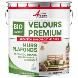 Peinture velours grise mur et plafond : ARCADÉCO BIOSOURCÉ Telegris 4 - RAL 7047 - 10 L + ou - 120m² par couche