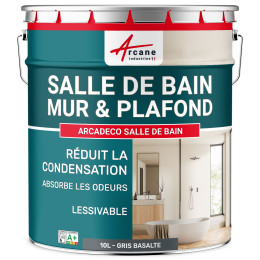 Peinture salle de bain gris mur et plafond :ARCADÉCO SALLE DE BAIN Gris Basalte - RAL 7012 - 10 L