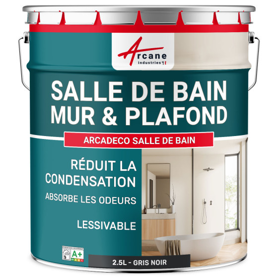 Peinture salle de bain Noir mur et plafond :ARCADÉCO SALLE DE BA.5 L - Gris Noir - RAL 7021