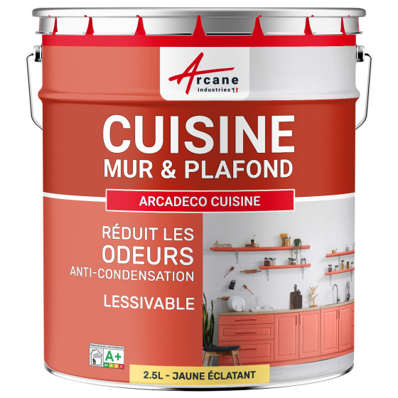 Peinture cuisine lavable. mur et plafond : ARCADÉCO CUISINE 2.5 L - Jaune éclatant RAL 095 90 50