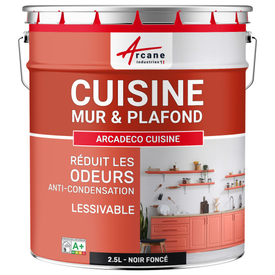 Peinture cuisine lavable. mur et plafond : ARCADÉCO CUISINE 2.5 L - Noir foncé  RAL 9005