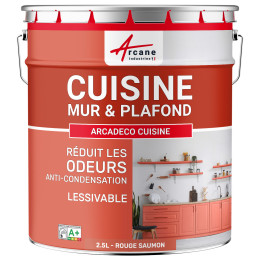 Peinture cuisine rouge lavable. mur et plafond : ARCADÉCO CUISINE 2.5 L - Rouge saumon - RAL 3022