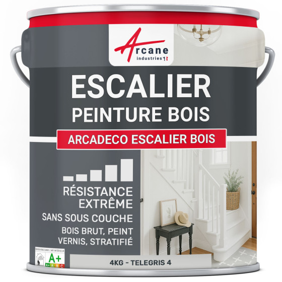 Peinture Escalier Bois : ARCADÉCO ESCALIER BOIS 4 kg - Telegris 4 - RAL 7047