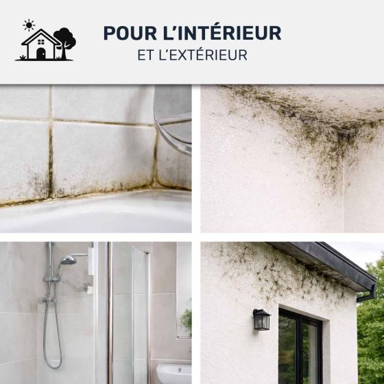 Anti-moisissures haute performance - STOP MOISISSURES