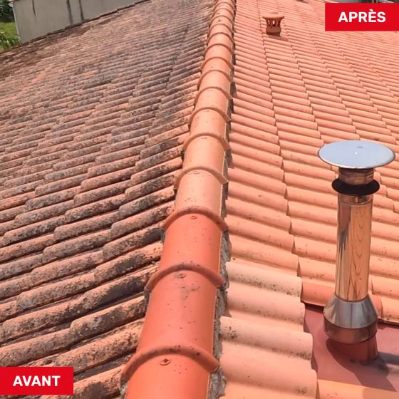 Producto limpiador de tejados rápido y potente: NET'TOIT