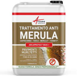 Trattamento Anti Marciume Secco - Trasparente - 5 L