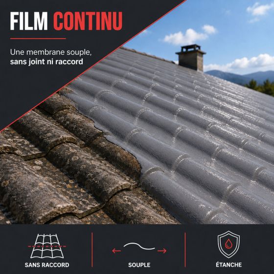 Résine d'Etanchéité - Peinture d'Etanchéité - Spécial Toit en Pente : ARCAFILM
