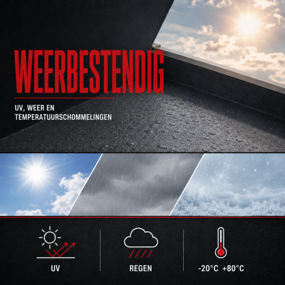 ARCAFILM_USP_3_NL