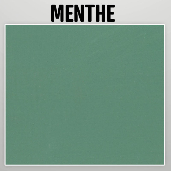 Echantillon nuancier peinture a la chaux naturelle