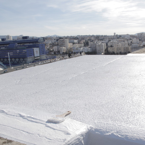 Impermeabilizzazione del tetto terrazza - Resina Poliuretanica Colorata: ARCATHAN 4 kg Ardesia