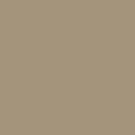 campioni di colore ARCAPOXY - 245 2.5 kg (fino a 25 m² in 2 strati) RAL 1019 - Beige Grigiastro