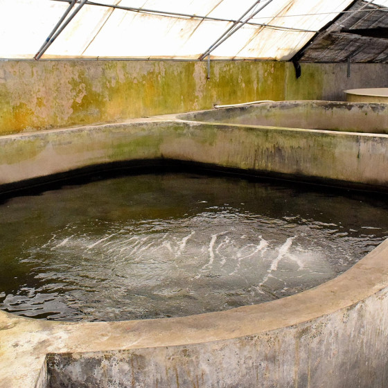 Intonaco impermeabilizzante per PISCINE FUORI TERRA, CISTERNE - ARCACIM S2 AQUA