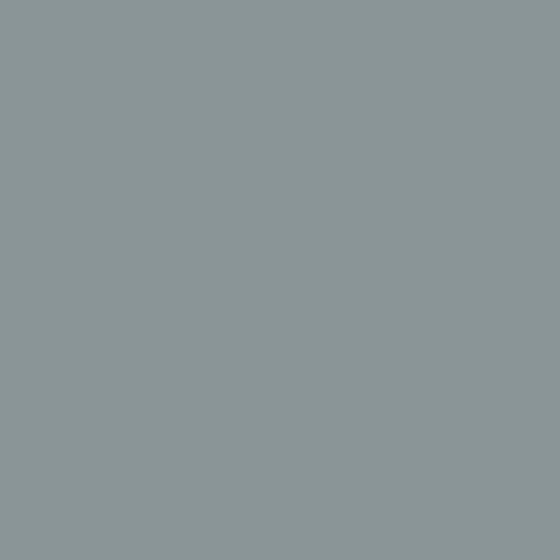 PEINTURE SOL CARRELAGE - Echantillon Couleur