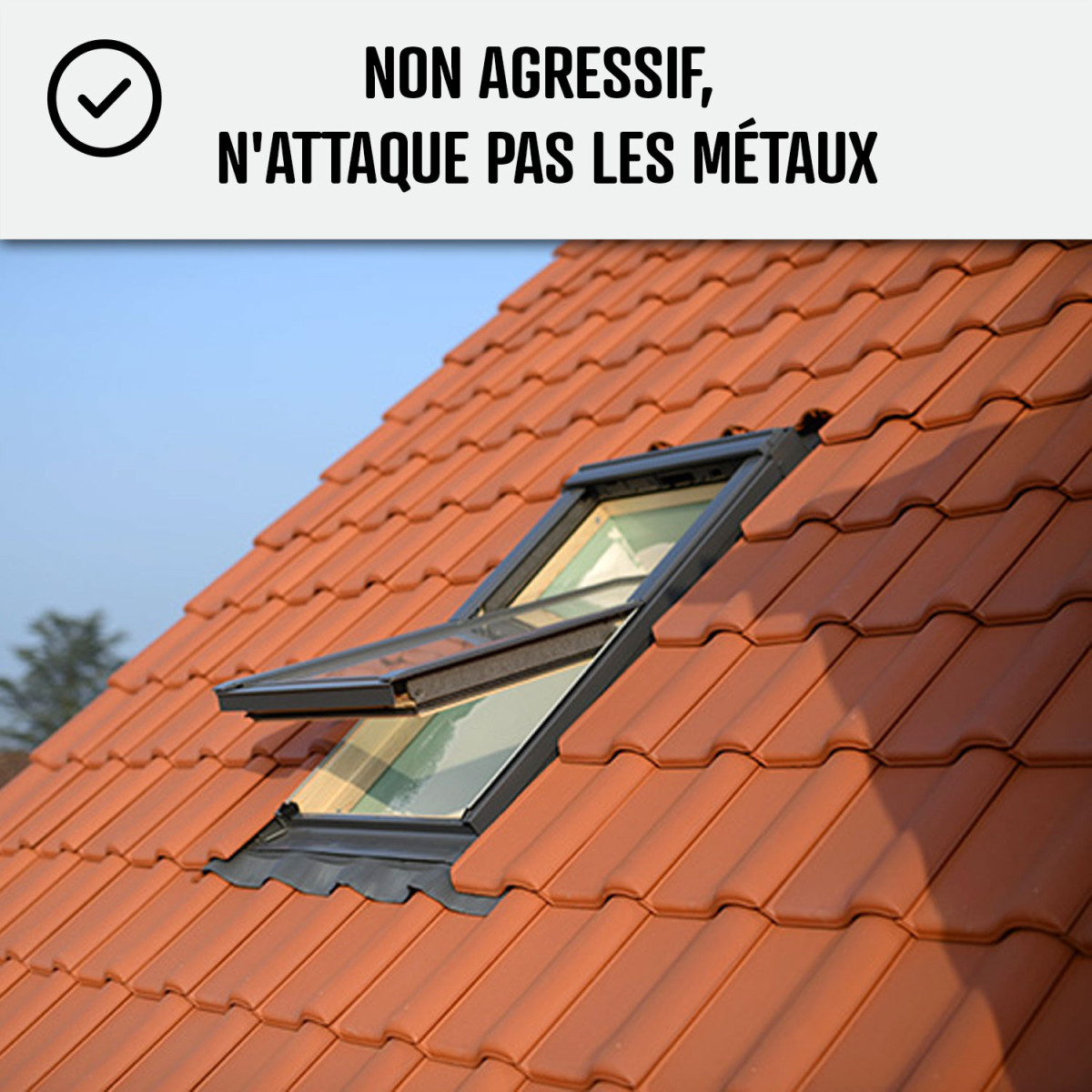 Où acheter un anti-mousse efficace et naturel pour toiture en tuiles terre  cuite sur Lille ? - Vente matériaux pour la ventilation et l'étanchéité de  toiture en France - MAGE®