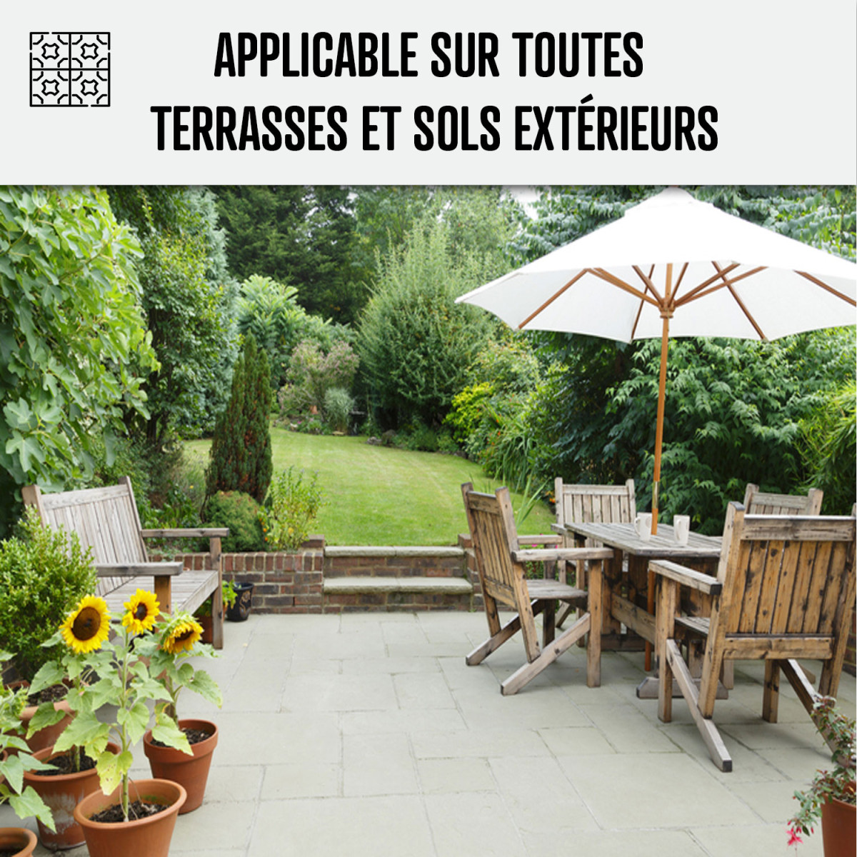 Antimousse fongicide – pour toitures terrasses – TT DALEP