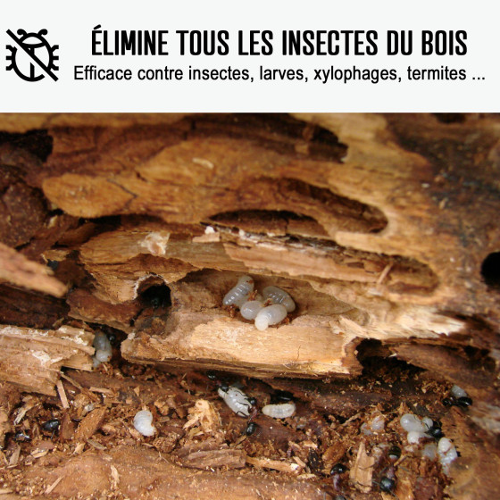 Traitement bois extérieur, intérieur - ARCAPROTECT BOIS Traitement bois extérieur, intérieur - ARCAPROTECT BOIS