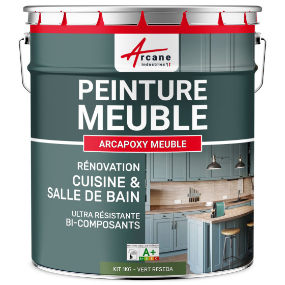 Résine PEINTURE MEUBLE-Kit1Kg-Ral-6011-Vert-Reseda-Aspect / Couleur