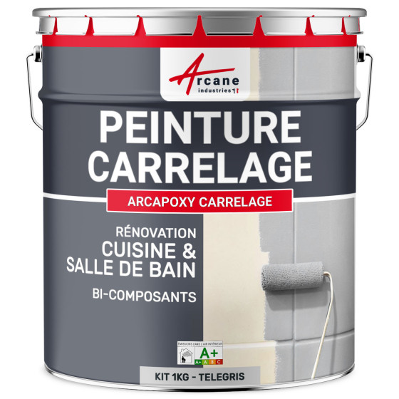 PEINTURE CARRELAGE CUISINE ET SALLE DE BAIN  - RÉSINE CARRELAGE-Kit1Kg-Ral-7047-Telegris-4-Aspect / Couleur