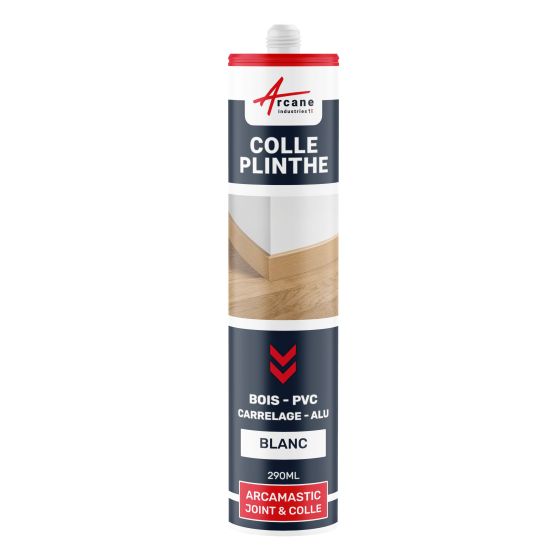 Mastic Colle Plinthes Polymere Hybride : ARCAMASTIC JOINT ET COLLE PLINTHES - Couleur / Aspect  : Mastic Colle Plinthes Polymere Hybride : ARCAMASTIC JOINT ET COLLE PLINTHES - Couleur / Aspect  :