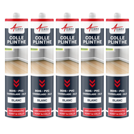 Mastic Colle Plinthes Polymere Hybride : ARCAMASTIC JOINT ET COLLE PLINTHES - Couleur / Aspect  :