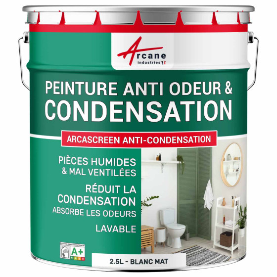 Peinture anti condensation, odeurs et moisissure pour pièce humide : Arcascreen Anti Condensation Couleur / Aspect