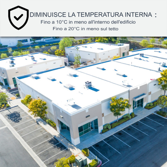 Vernice per tetti Coolroof: ARCAREFLECT - 1198 20 x 10 L Bianco