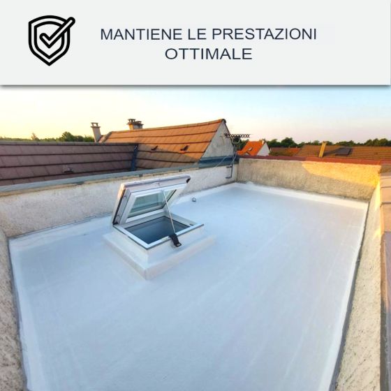 Pulitore per resina di tenuta e Cool Roof: Arcane 235