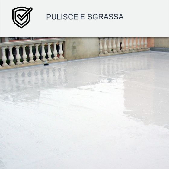 Pulitore per resina di tenuta e Cool Roof: Arcane 235