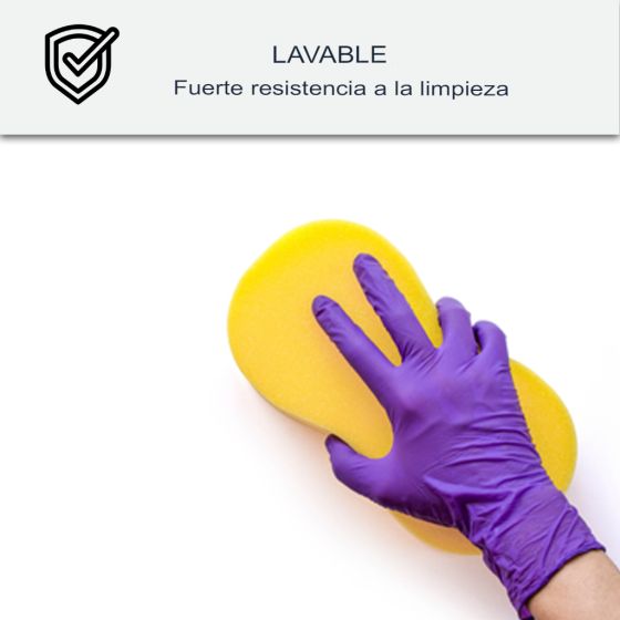 Pintura antibacteriana, para pared y techo: ARCASCREEN ANTIBACTERIANO