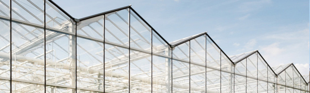 Vernice ombreggiante per serre: per serre in vetro o policarbonato