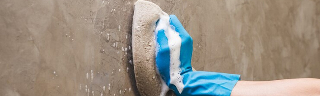 Prodotti per la pulizia professionale, Detergenti professionali