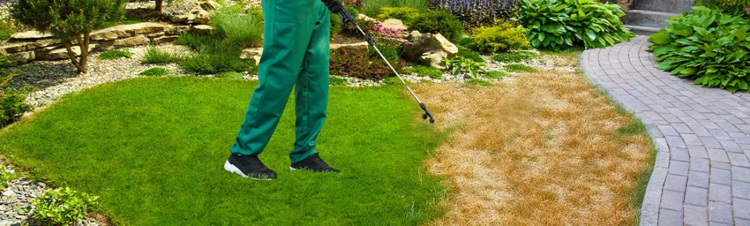 Gazonverf voor droog gras en vegetatie | Maison Etanche
