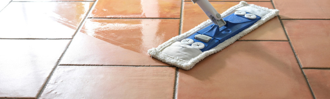 Productos de limpieza naturales certificados Ecocert